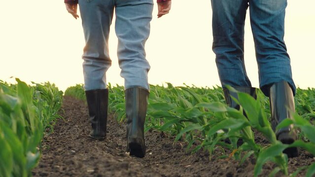 boots feet field, boots walk ground ground soil, agriculture rubber boots farmer team wheat corn, background field dirty go use earth inspects road fertile boots worker rubber earthy green agronomist