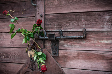 Wagon with roses