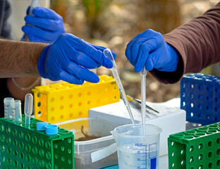 Detail of the hands of a pair of people wearing blue latex gloves cleaning pipettes in a...