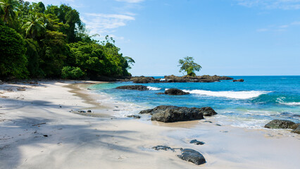 tropical rainforest beach with trees and rocks