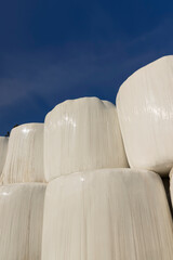 plastic packaging on mown hay for long-term storage