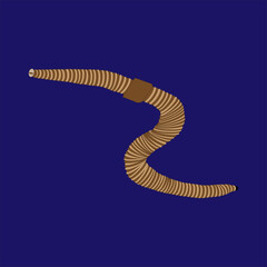 lombriz de tierra nombre científico lumbricus terrestris