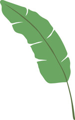 banana leaf flat style boho element, nature, plant,