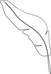 banana leaf outline vector boho element