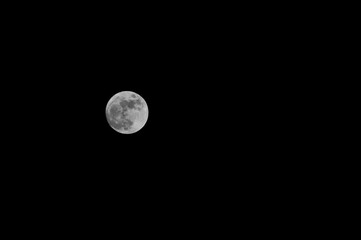 Fototapeta premium Full moon in a dark night sky
