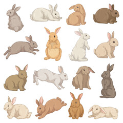 Cute hares set. Colorful rabbits with ears lie, jump, sit and run. Funny farm or forest animals. Fluffy grey, white and brown bunnies. Cartoon flat vector collection isolated on white background