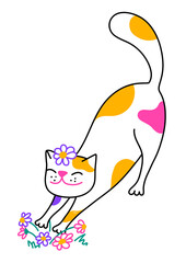 Happy cat stretching on the flower lawn. Transparent PNG