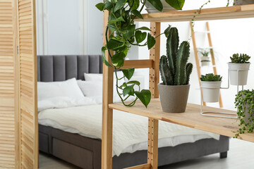 Stylish room with different potted green plants on shelving unit and comfortable bed