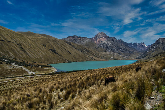 landscape with lake and mountains