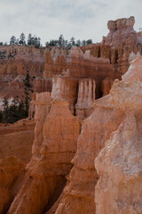 Among the hoodoos