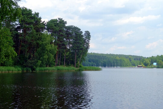 The forest is a recreational place for swimming and fishing - Cedzyna , Poland
