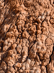 Abstract photograph of dried mud at Grand Staircase-Escalante National Monument, Utah. 