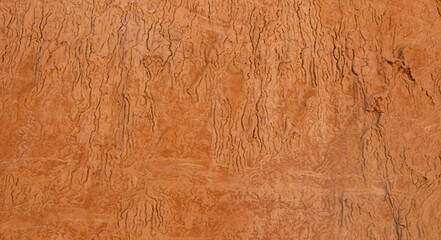 Abstract photograph of dried mud at Grand Staircase-Escalante National Monument, Utah. 