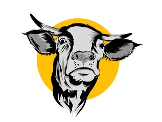 head of a bull for aidil Adha