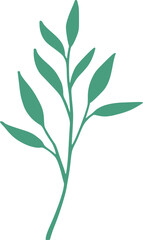 botanical line art vector illustration