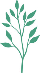 botanical line art vector illustration