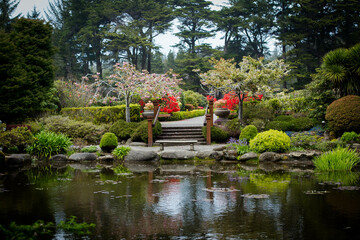 Oregon Japanese Garden