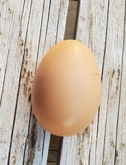 First Egg