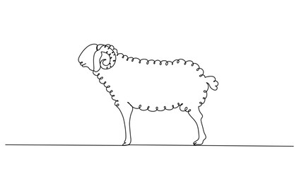 Continuous line art or One Line a sheep drawing for vector illustration, farm business. sheep isolated. modern continuous line drawing graphic design