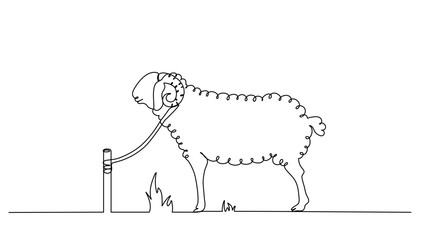 Continuous line art or One Line a sheep drawing for vector illustration, farm business. sheep tied with rope isolated. modern continuous line drawing graphic design