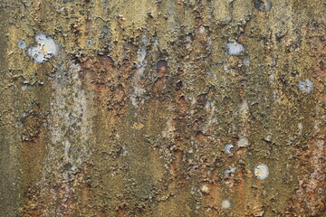 old yellow textured wall