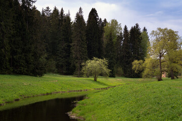 Slavyanka River in the Pavlovsk Palace and Park Complex on a sunny summer day, Pavlovsk, Saint...