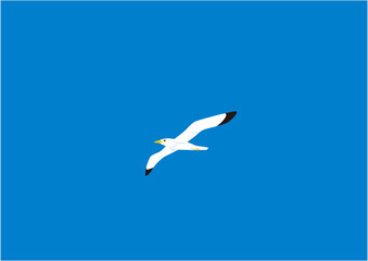 青空に飛ぶ一羽のカモメのイラスト