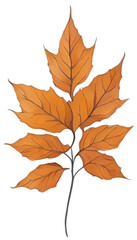 Naklejka premium Watercolor autumn leaf.