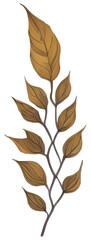 Obraz premium Watercolor autumn leaf.