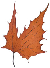 Obraz premium Watercolor autumn leaf.
