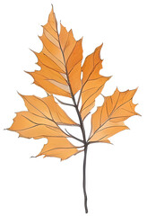 Naklejka premium Watercolor autumn leaf.