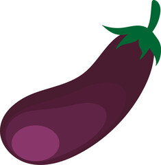 aubergine eggplant illustration vector icon