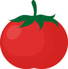 Red tomato illustration vector icon
