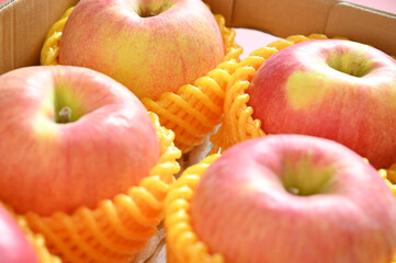 beautiful pink apple in yellow wrap bubble, healthy fruit in the box