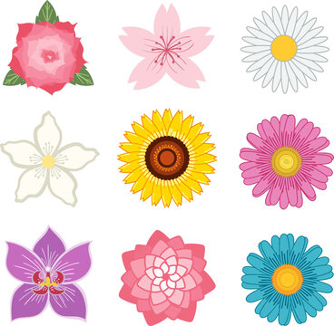 set of flowers illustration vector icon 