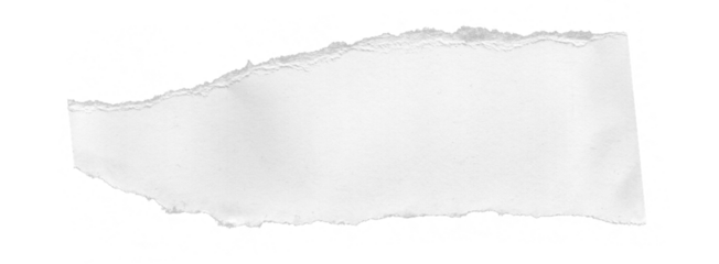 Stylish Ripped Paper Texture