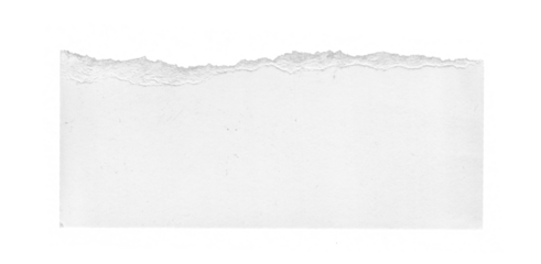 Stylish Ripped Paper Texture