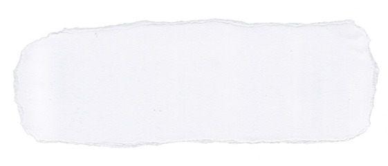 Stylish Ripped Paper Texture