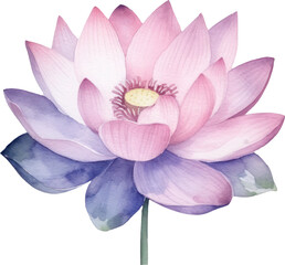 Lotus Flower Watercolor Illustration. Generative AI