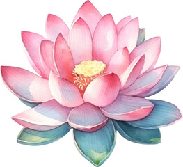 Lotus Flower Watercolor Illustration. Generative AI