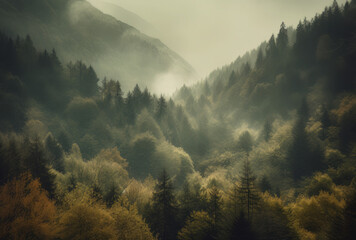 the scenery of high mountains with fog in the afternoon, in the style of atmospheric woodland imagery