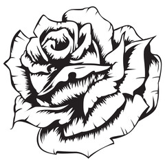 black and white tribal rose flower illustration isolated on white background