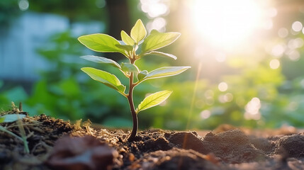 Photo close up of soybean plant in cultivated agricultural field, agriculture and crop protection, generative ai