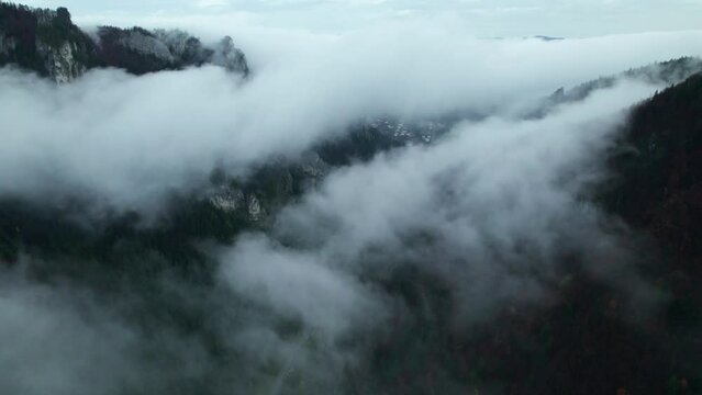 drone aerial Fog in valley, misty forest after rain,