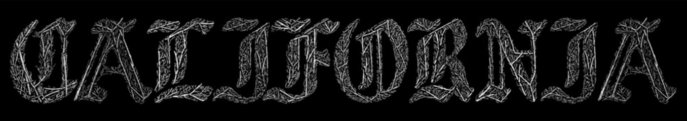 california word with branches hand drawing vector isolated on black background.