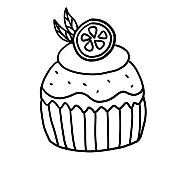 delicious cupcakes transparent