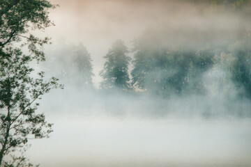 Background with misty forest by the lake