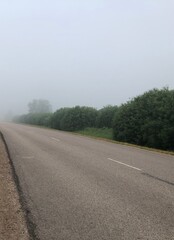 Lonely overcast morning road in Ventspils with fog