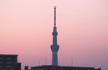 The tower dyed in pink at sunset
