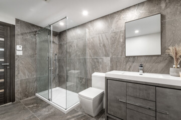 Canadian single family house, renovated with some luxury elements in design with kitchen, rooms,...